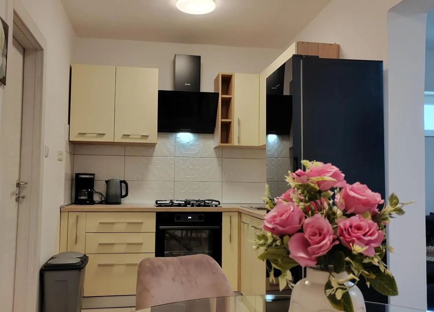 Apartments And Pool Luminous Pula Croatia